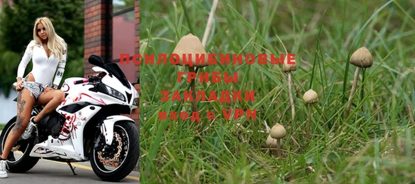 PSILOCYBIN Армянск