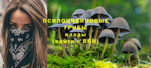 ГАЛЛЮЦИНОГЕННЫЕ ГРИБЫ Аркадак