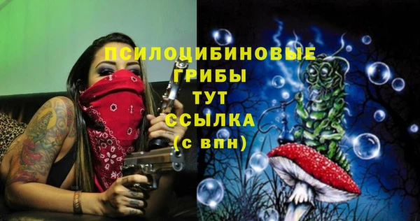 PSILOCYBIN Армянск