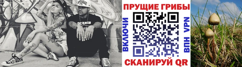 Псилоцибиновые грибы прущие грибы Петров Вал